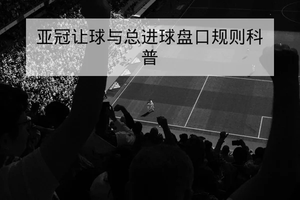 ATP巡回赛积分与排名赛程查询