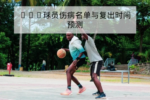 ATP巡回赛积分与排名赛程查询